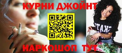 крисы Можга