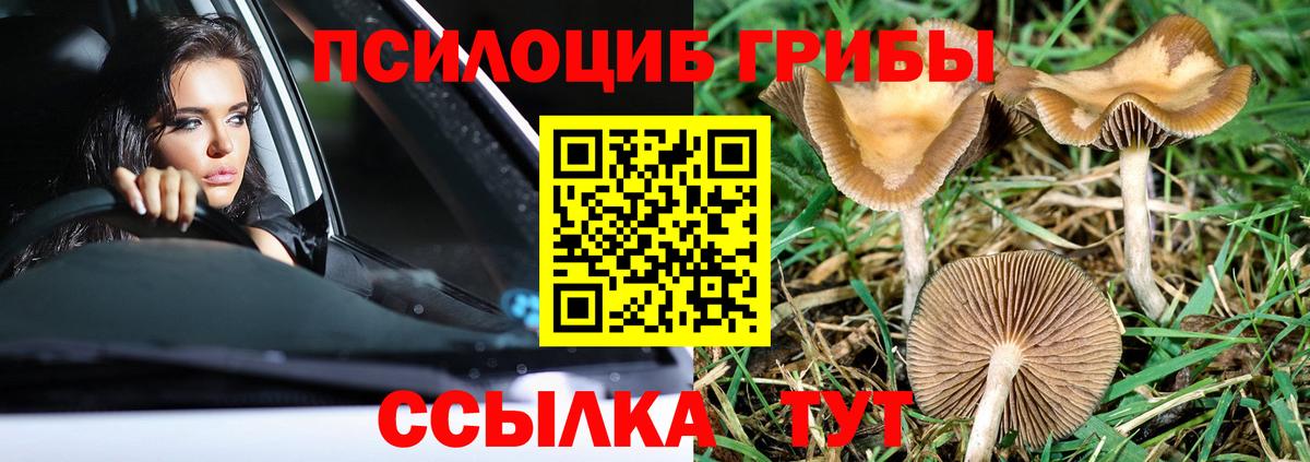 Псилоцибиновые грибы Psilocybe  Вход с VPN  дарнет шоп  Солнечногорск 