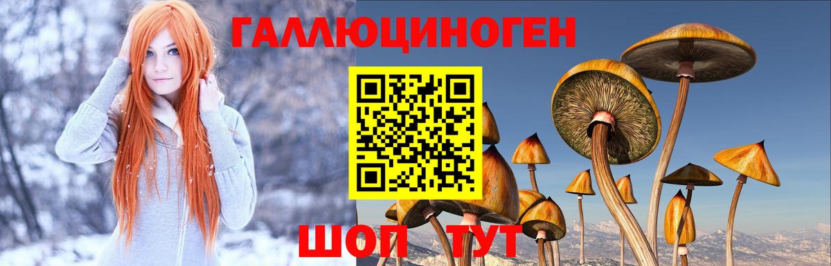 Псилоцибиновые грибы мухоморы Солнечногорск